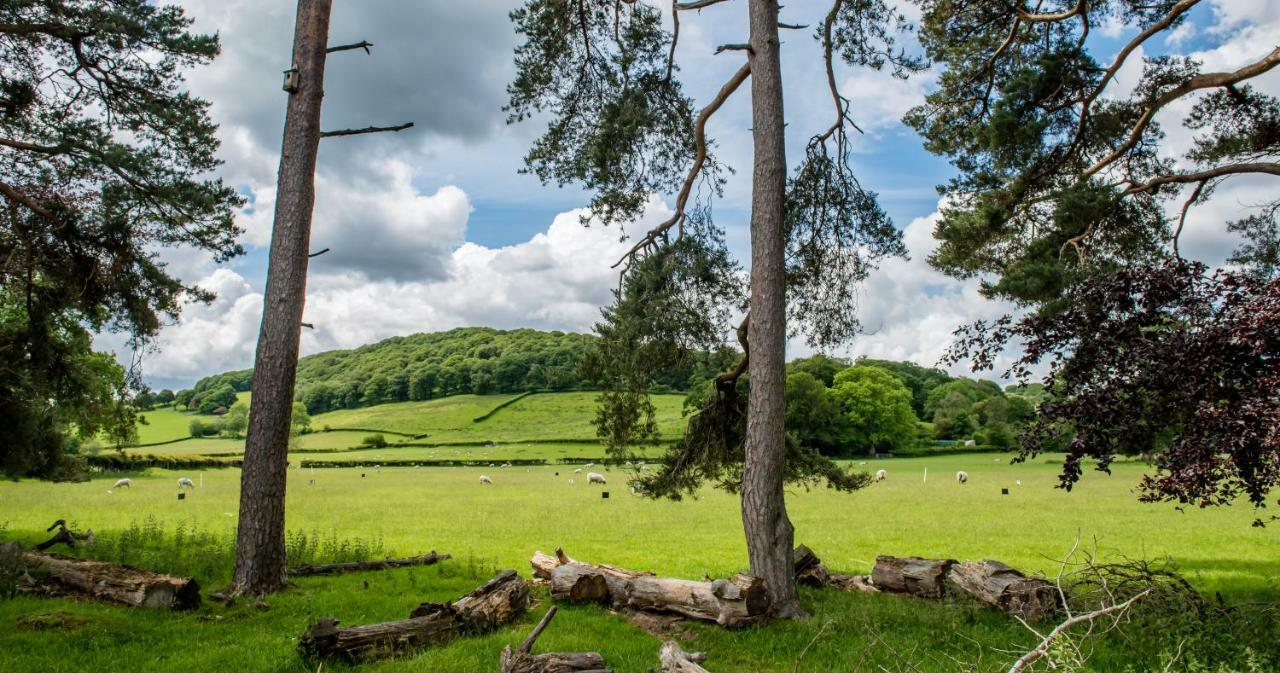 Swn Y Coed Bed and Breakfast Llanwrtyd Wells Esterno foto